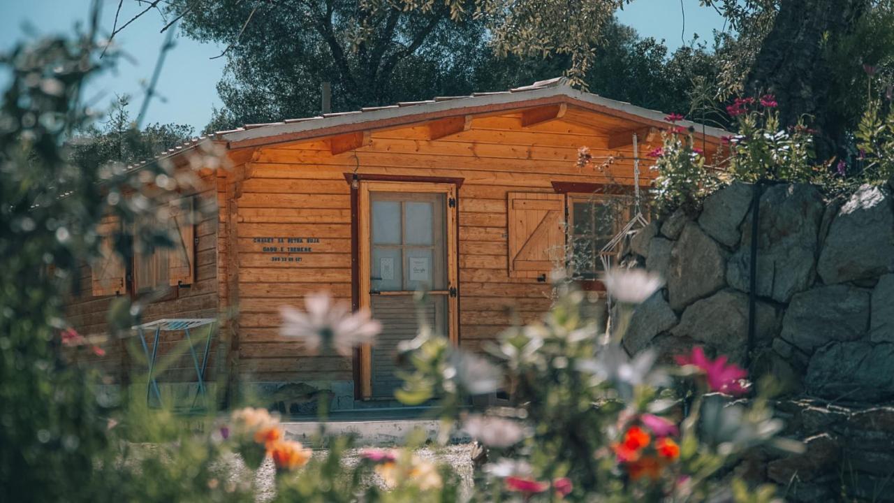 Chalet Sa Petra Ruja - Gadu E Tremene Siniscola Eksteriør bilde